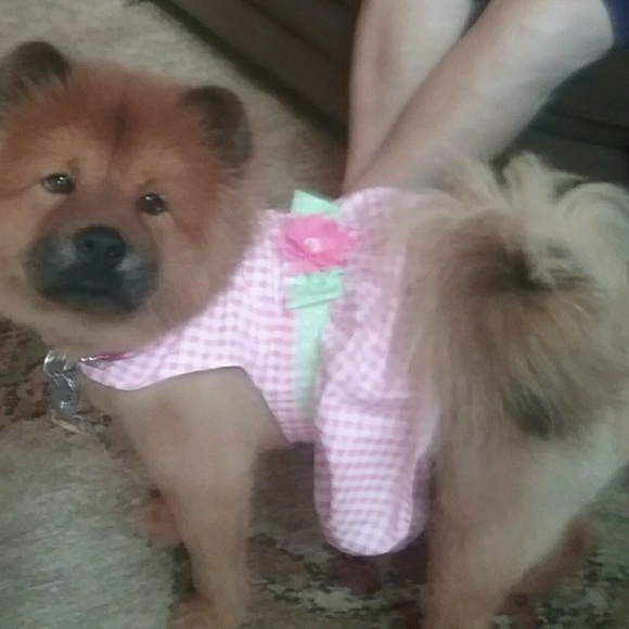 Luv2shop, I'm about to try selling very soon🤤😲😨 - Picture 7 of 7